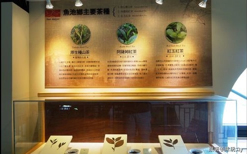 日月潭景點「廖鄉長紅茶故事館」Blog遊記的精采圖片