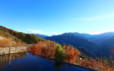 日月潭民宿「清境普羅旺斯玫瑰莊園」Blog遊記的精采圖片